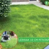 Clearance Turfquick Nurmikon siemenmatto Sport, 10 m²