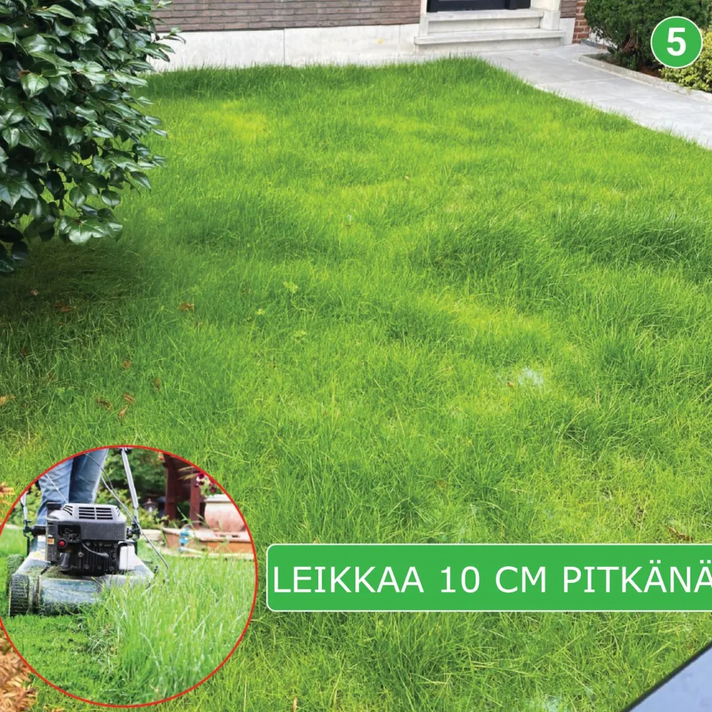 Discount Turfquick Nurmikon siemenmatto Slänt, 10 m²