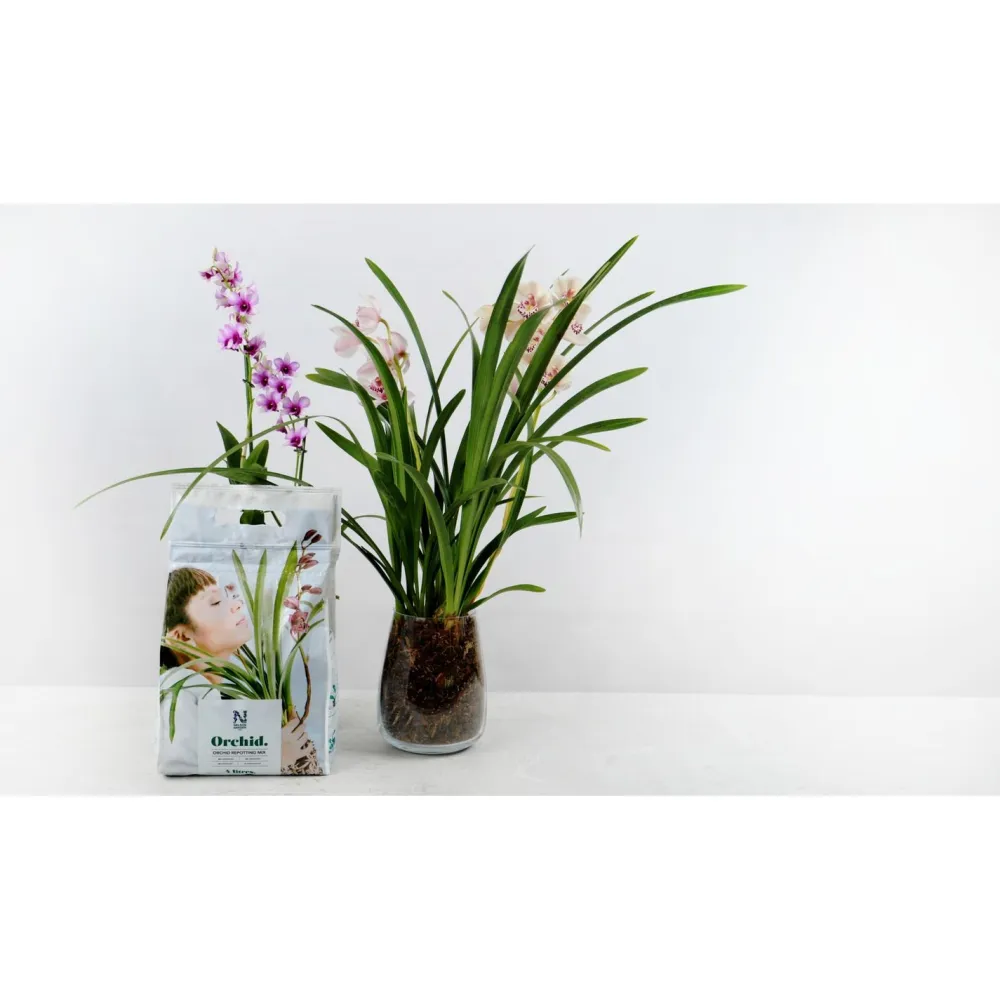 Discount Nelson Garden Orkideamulta