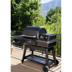 Sale Traeger Pellettigrilli Ironwood Int, WiFi