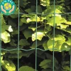 Best Hortus Puutarha-aita 5x10cm 0,8x25m 0% PVC vihreä