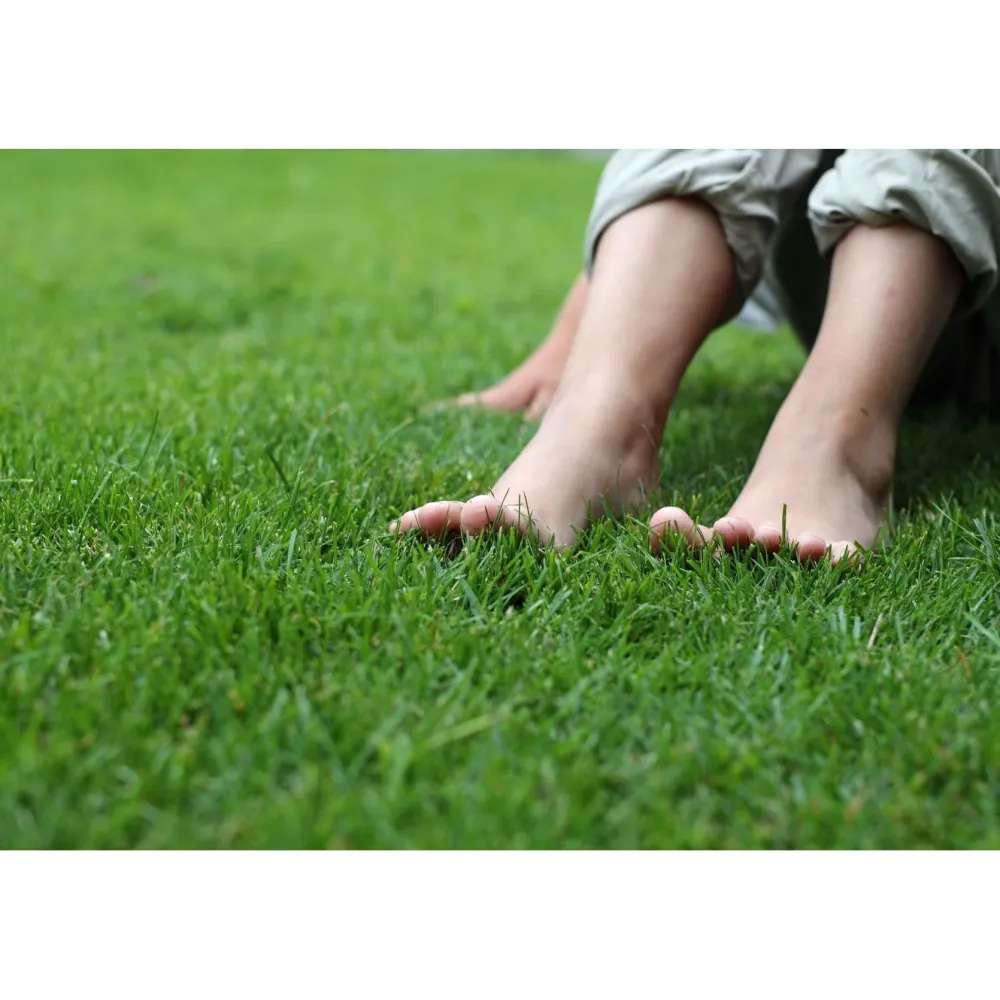 Best GreenCare Puutarhamulta 80 säkkiä x 40 litraa/lava 3200 litraa
