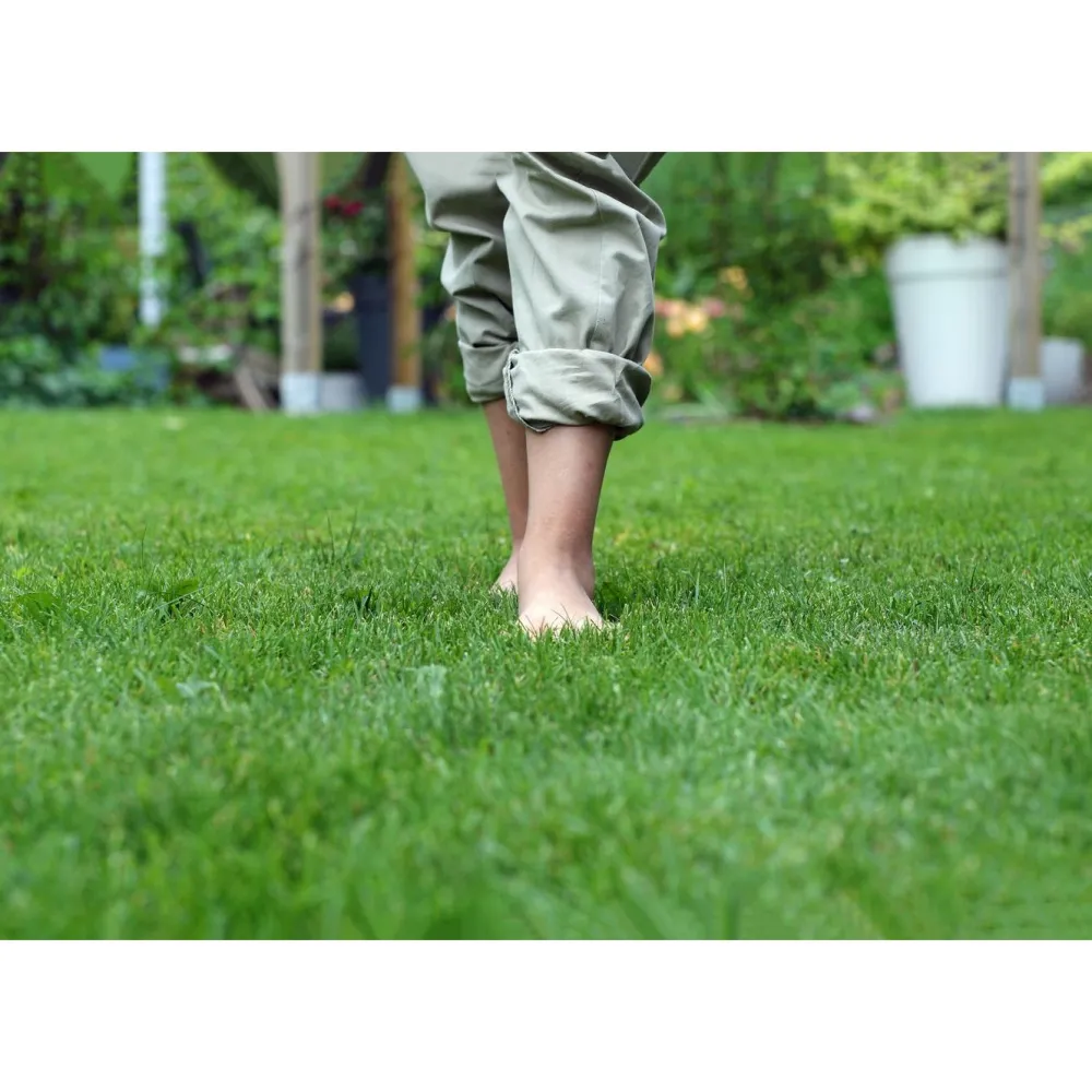 Best GreenCare Puutarhamulta 80 säkkiä x 40 litraa/lava 3200 litraa