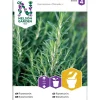 Discount Nelson Garden Rosmariini , siemenet