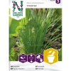 Clearance Nelson Garden Ruohosipuli Dolores, siemenet