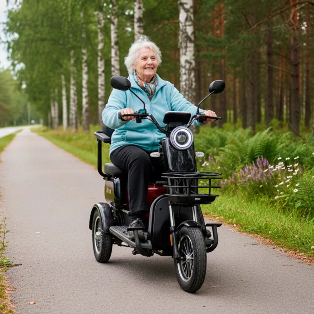 Online Arvo Senioriskootteri P250, eri värejä
