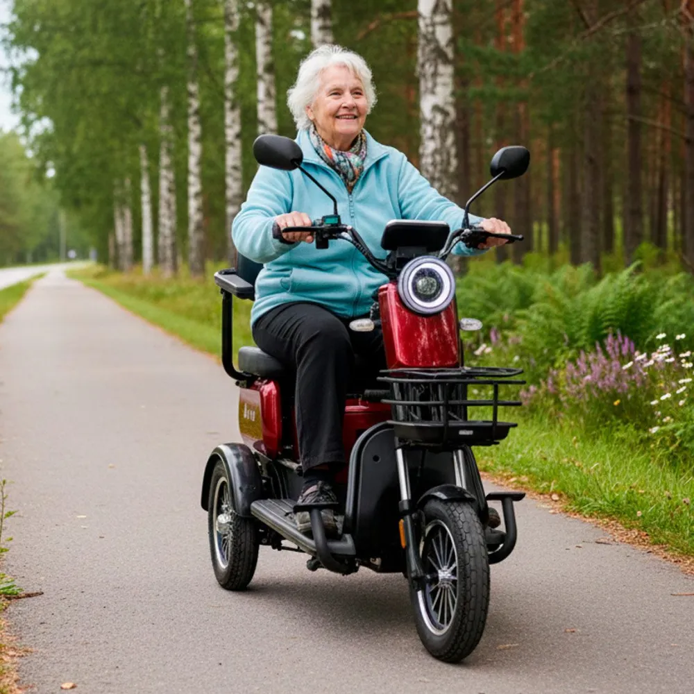Online Arvo Senioriskootteri P250, eri värejä