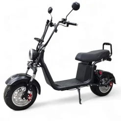 Hot E-go Sähköskootteri Evolution 1000 W musta