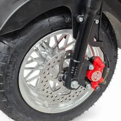 Hot E-go Sähköskootteri Evolution 1000 W musta