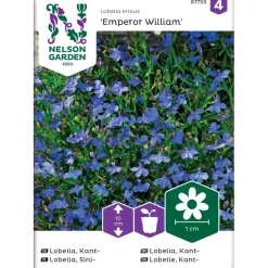 Nelson Garden Sinilobelia Emperor William, siemenet