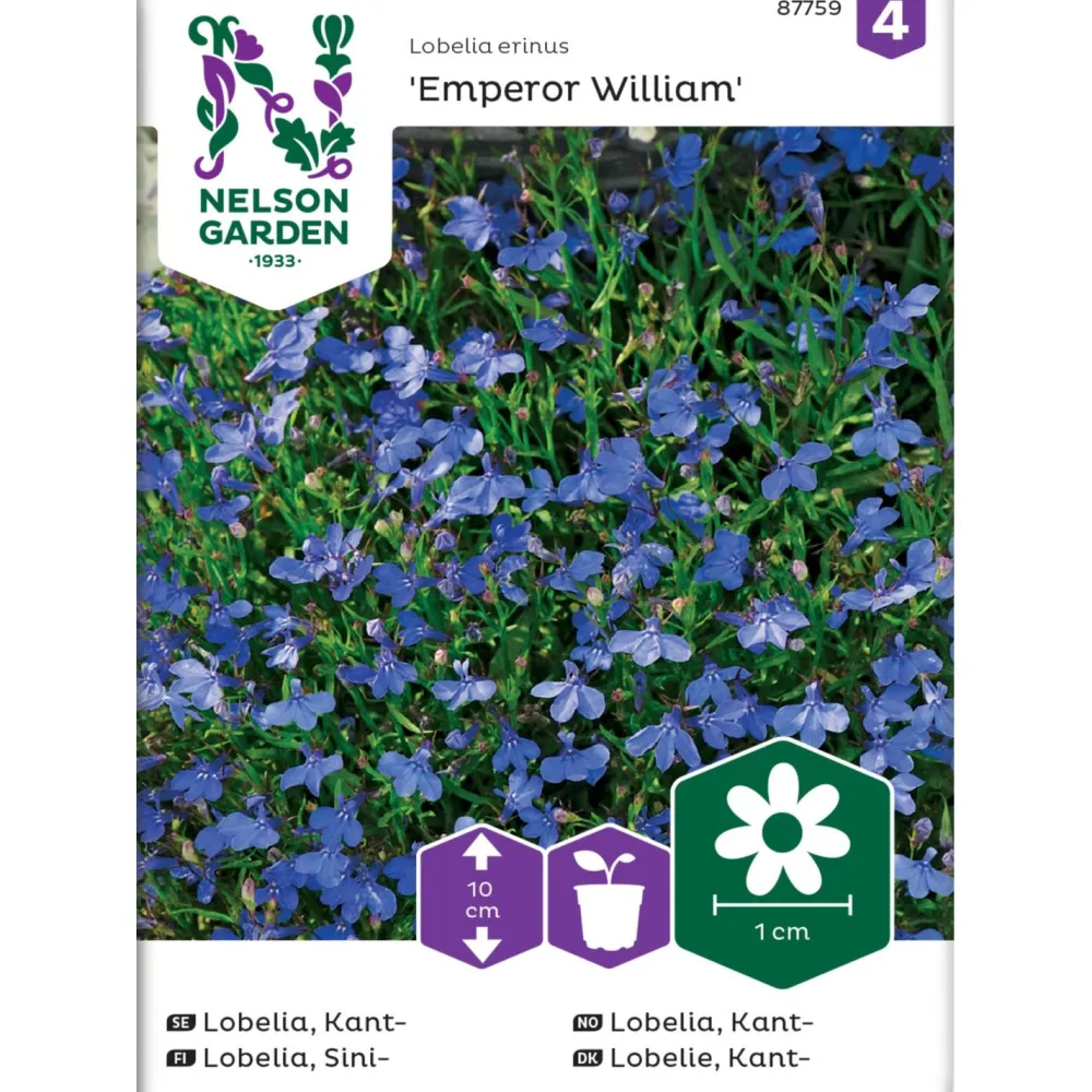 Nelson Garden Sinilobelia Emperor William, siemenet