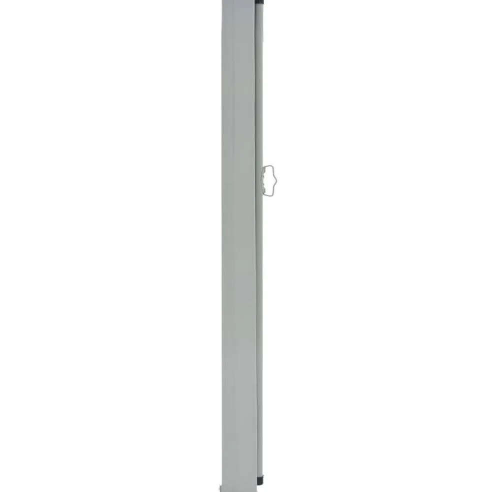 Clearance FinePRICE Sisäänvedettävä terassin sivumarkiisi 80x300 cm harmaa