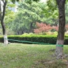 Clearance FinePRICE Slackline/tasapainoliina 15mx50mm, 150 kg, vihreä