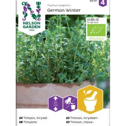 Nelson Garden Timjami German Winter Organic, siemenet