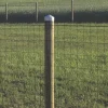 New Hortus Tolpanhattu Ø120mm galvanoitu
