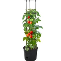 Online FinePRICE Tomaattiruukku antrasiitti Ø29,5x115 cm polypropeeni (52209)