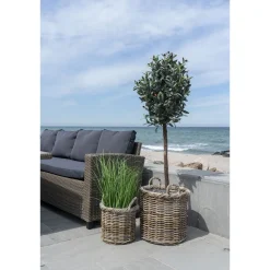 Discount House Nordic Ulkoruukku Gili, 2kpl, rottinki, ruskea