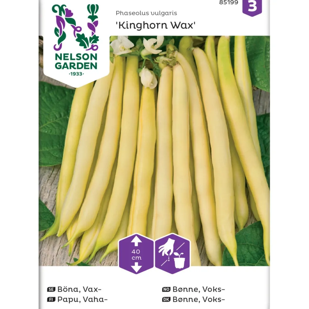 Nelson Garden Vahapapu Kinghorn Wax, siemenet