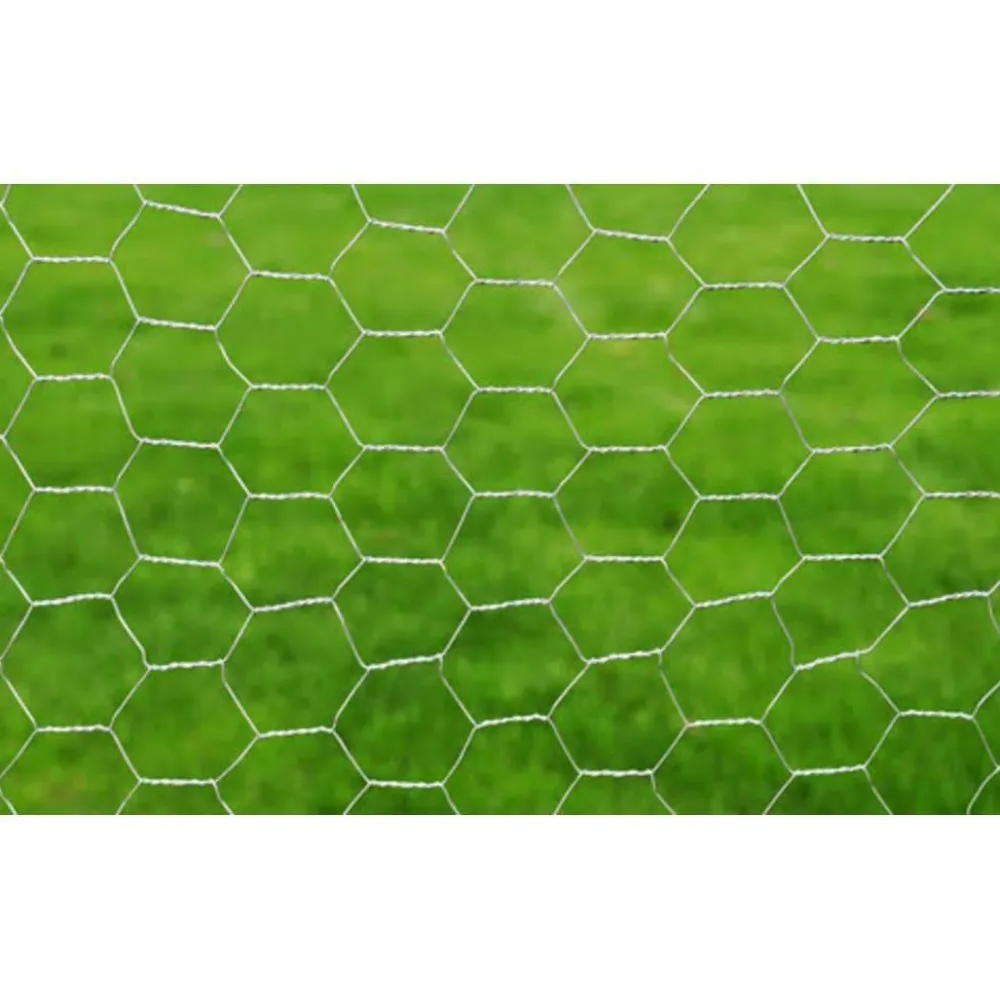 Best FinePRICE Verkkoaita galvanoitu teräs kuusikulmiokuvio 1x25m hopea